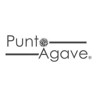 Logo Punto Agave